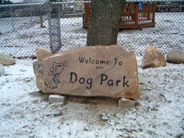 Dog Park 